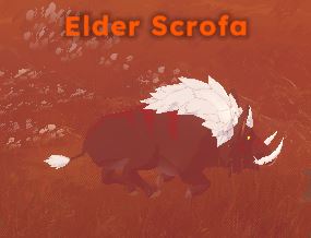 Elder scofa .jpg