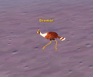 Dromai.png