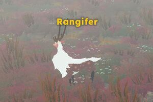 Rangifer.jpg